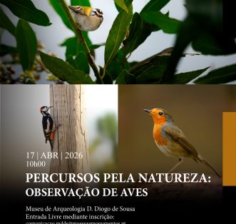 Percursos pela Natureza: Aves em Contexto Urbano