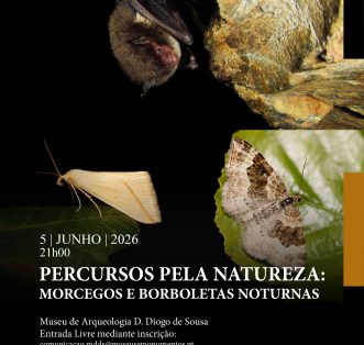 Percursos pela Natureza: Morcegos e Borboletas noturnas